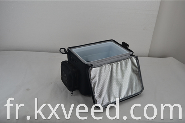 5lblack Portable Mini Camping Fridge Isulater Colder Box DC12V